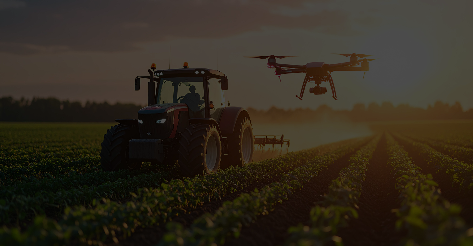 Agricultura de alto rendimiento